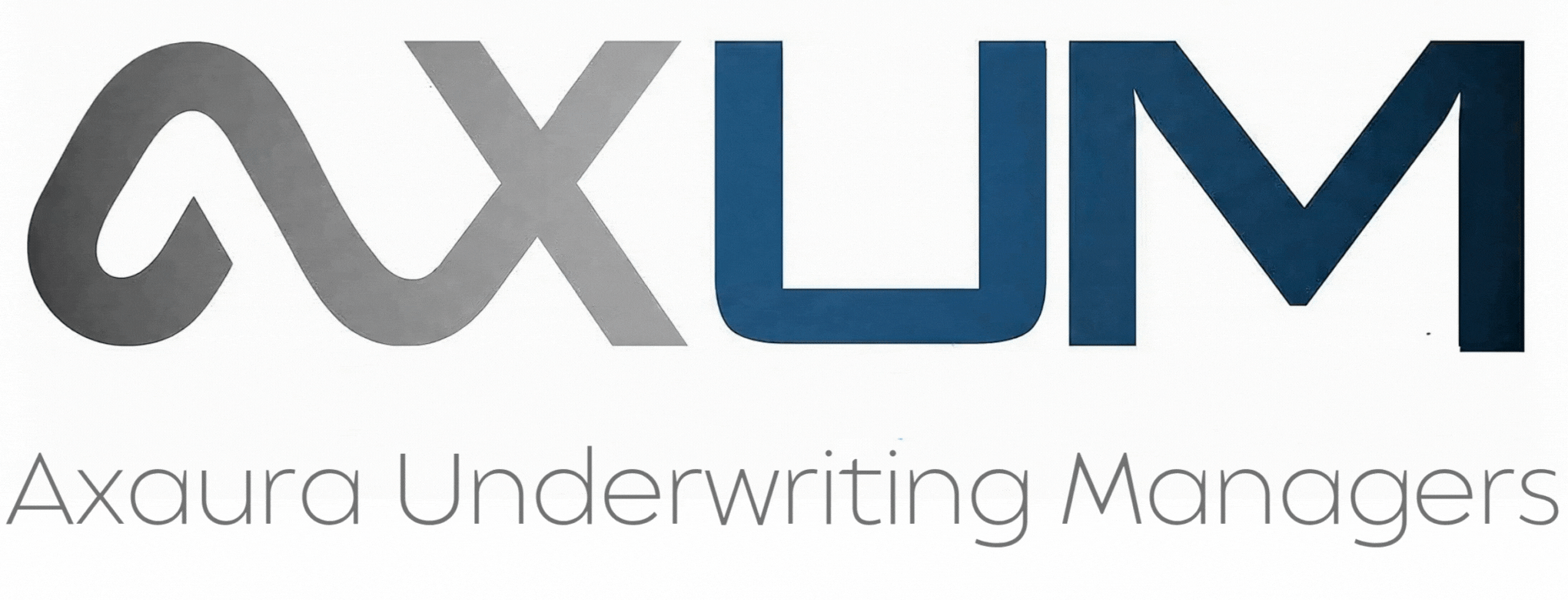 Axum Logo